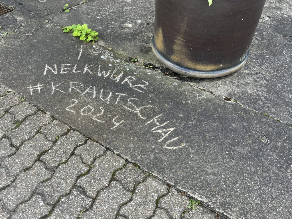 ©if-Krautschau2024-001