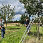 ©Kehs_ObstbaumSK_2023-003
