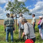 ©Kehs_ObstbaumSK_2023-004