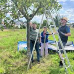 ©Kehs_ObstbaumSK_2023-005