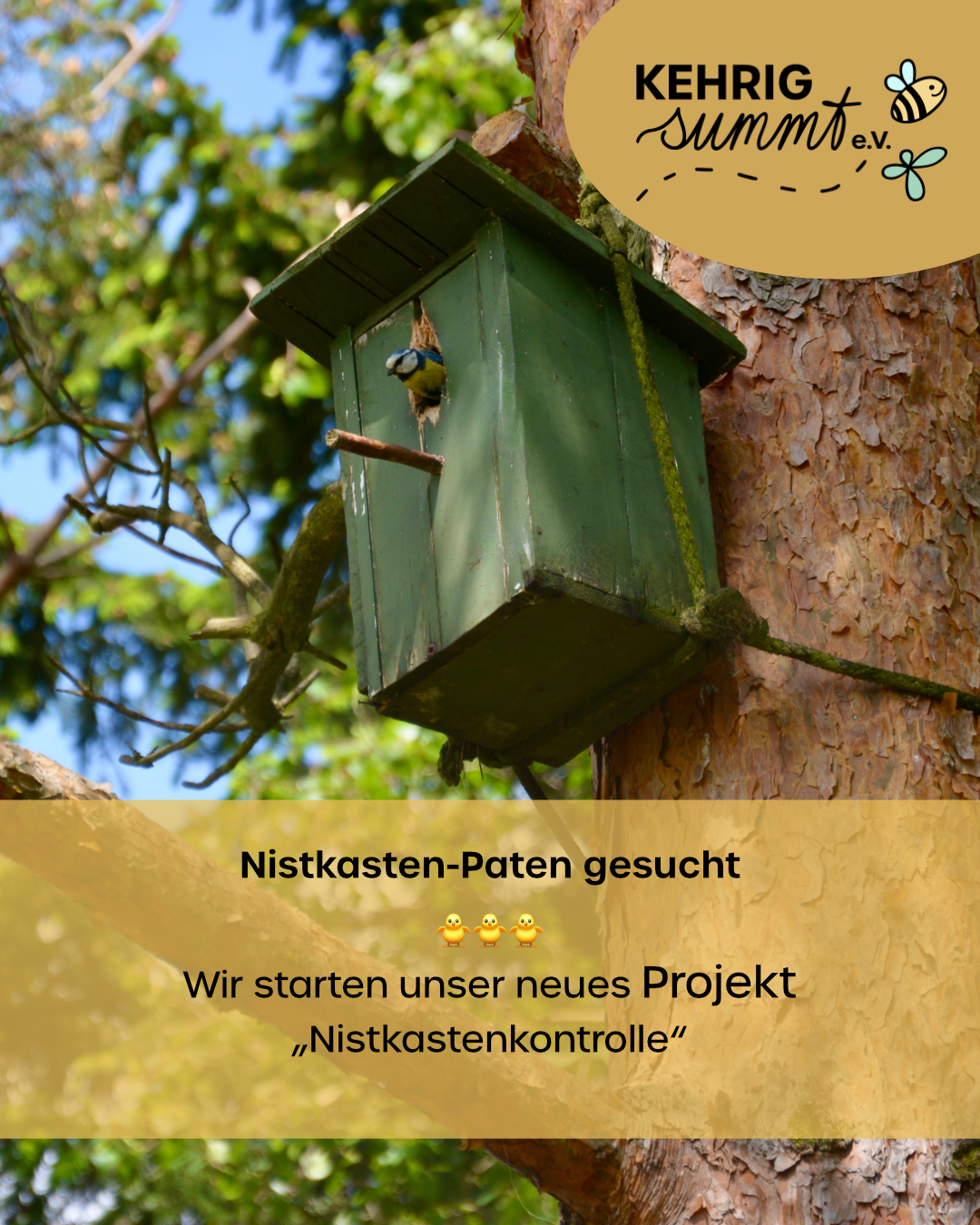 ©Kehs-Nistkasten-Pate