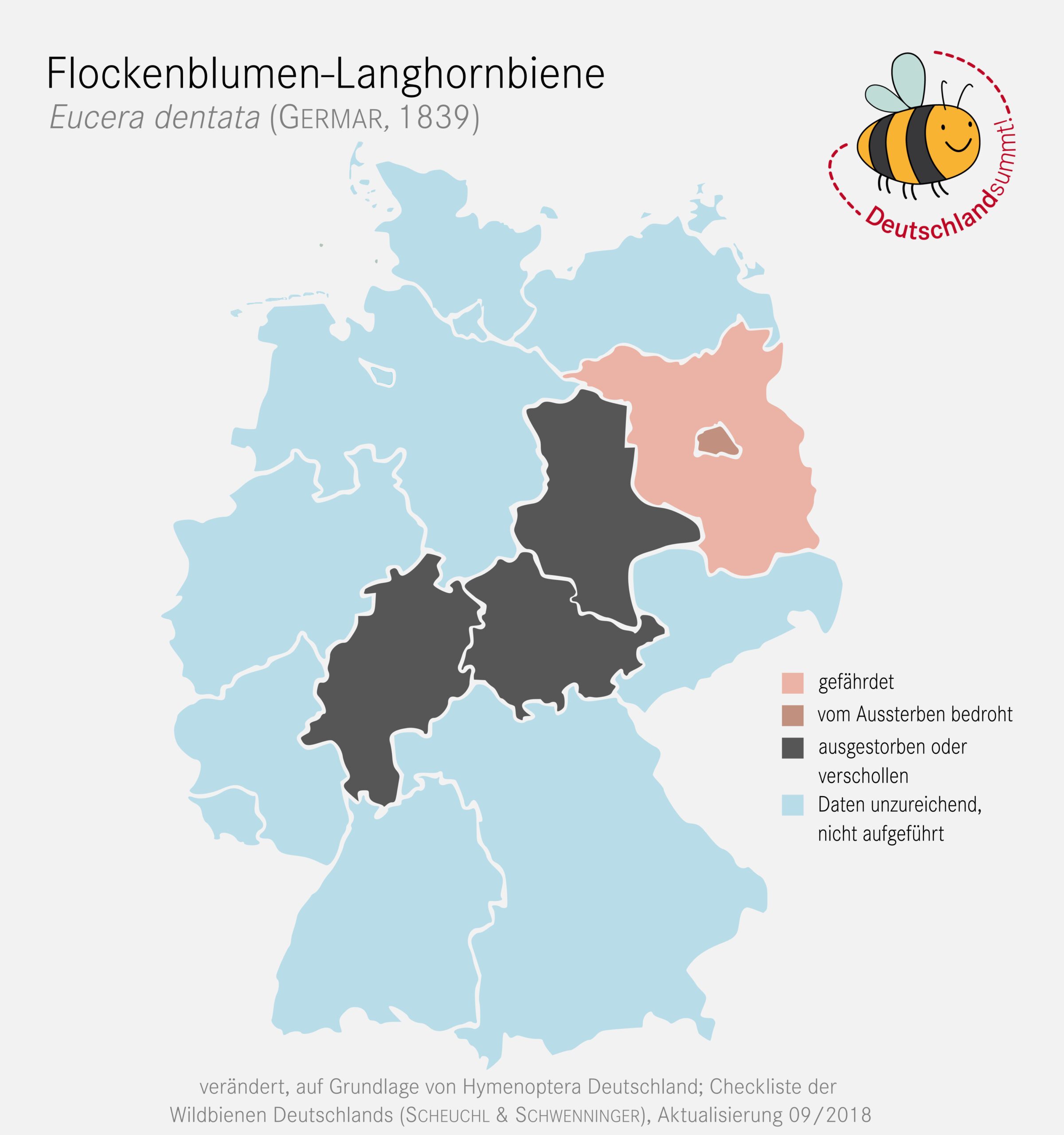 Flockenblumen-Langhornbiene (Eucera-dentata) - Verbreitung in Deutschland ©smu-dominik-jentzsch