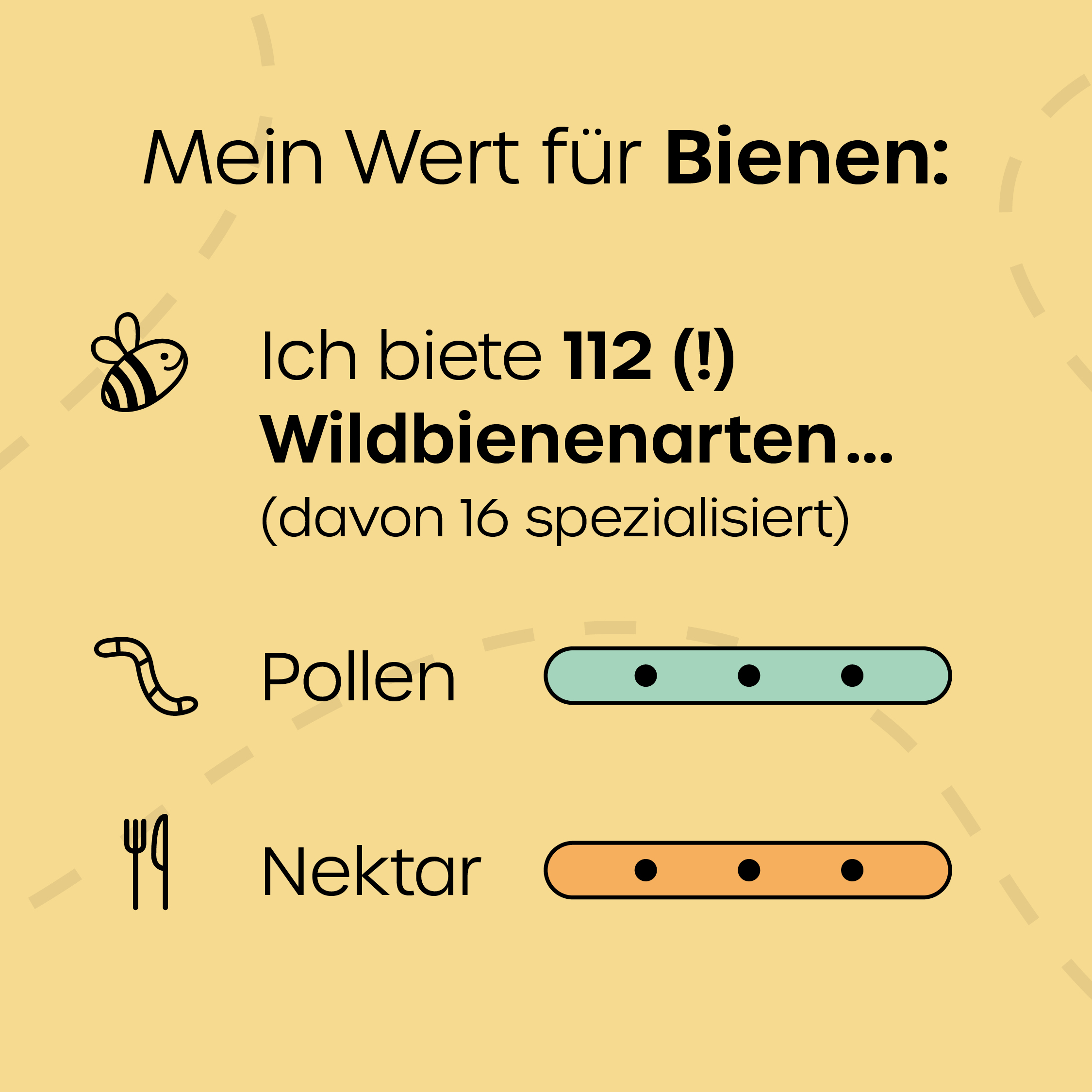 KEHS_insta-post_loewenzahn_2