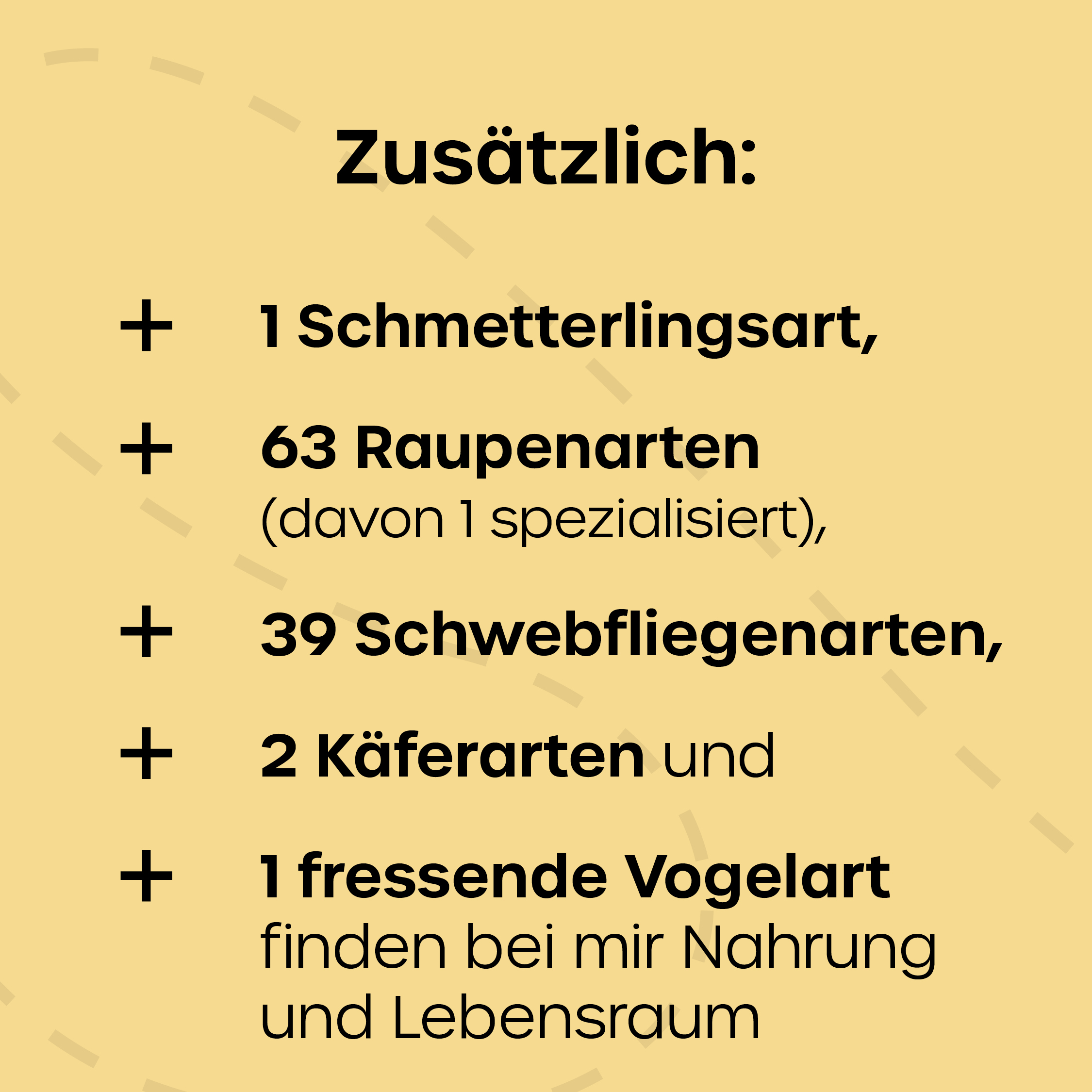 KEHS_insta-post_loewenzahn_3