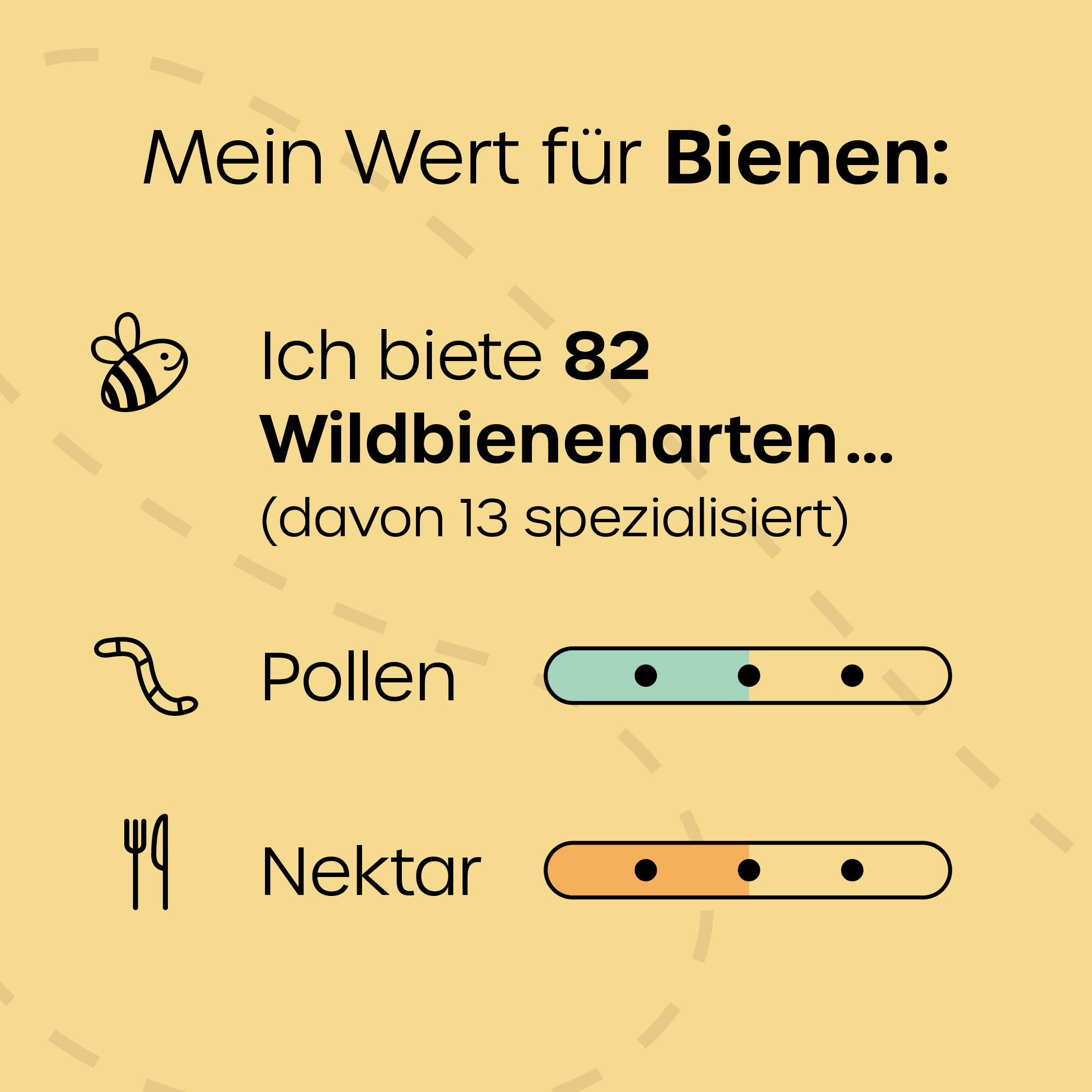 ©KEHS_insta-posts_krautschau_schafgarbe_2