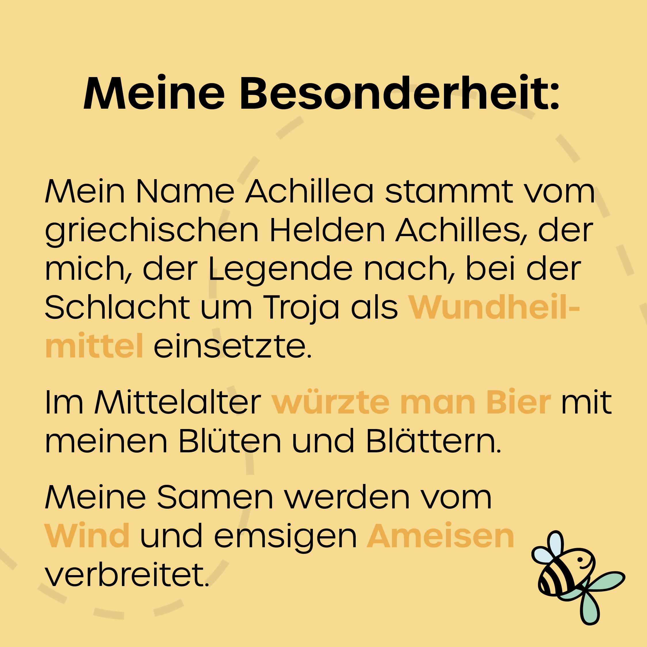 ©KEHS_insta-posts_krautschau_schafgarbe_4