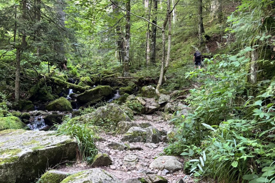 IF@20250812Männertag im Wald-001