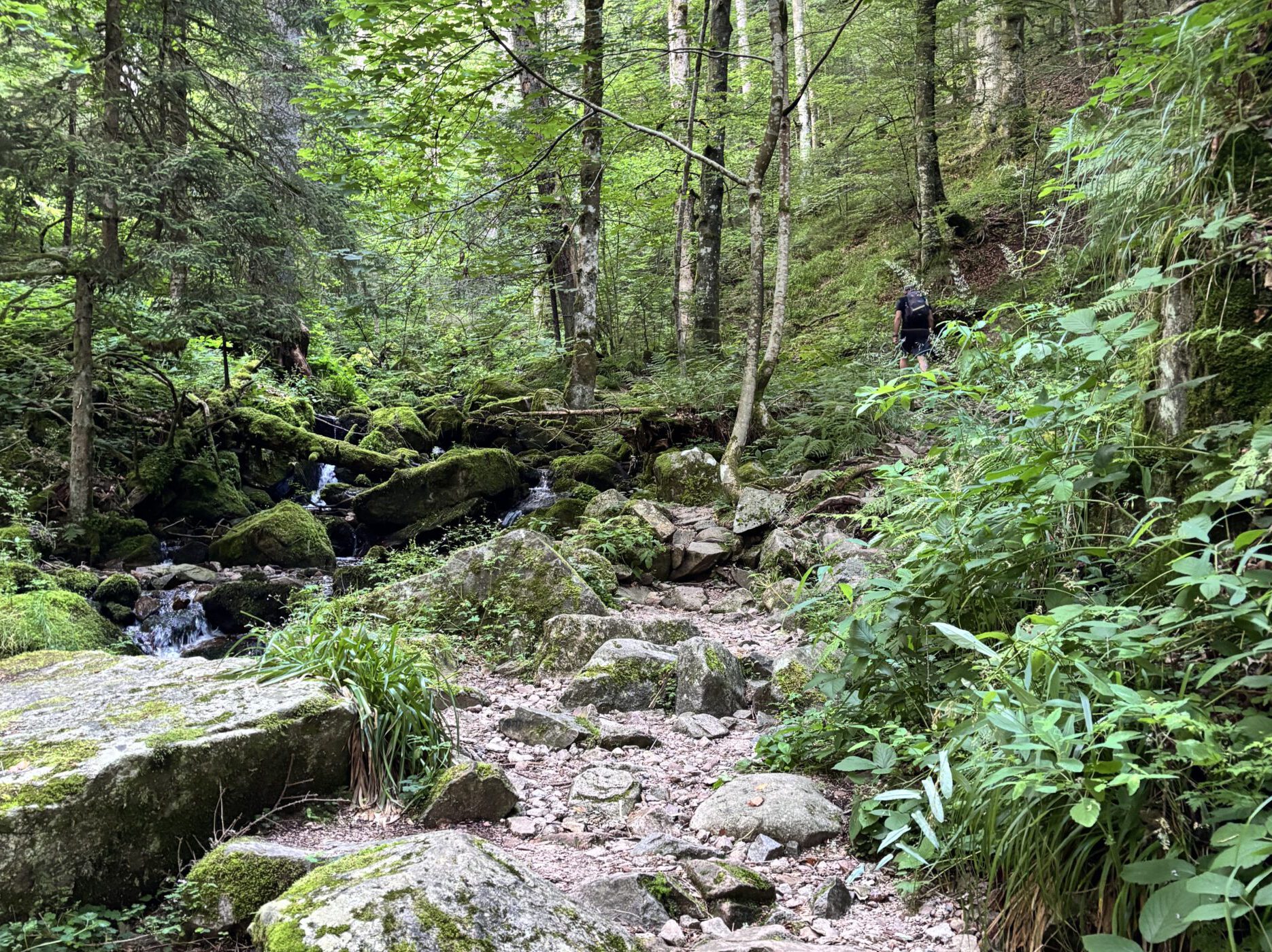 IF@20250812Männertag im Wald-001