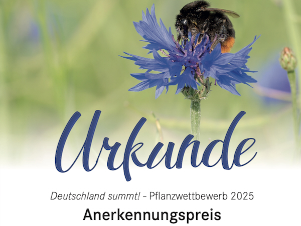 Anerkennungsurkunde 2025